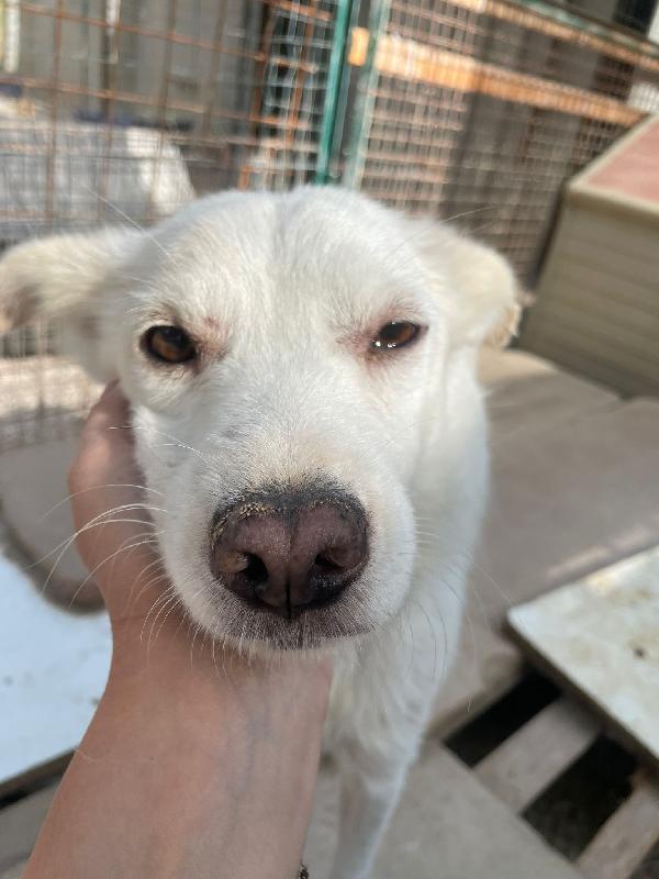 10 KILI DI AMORE : PLUTO Foto 2